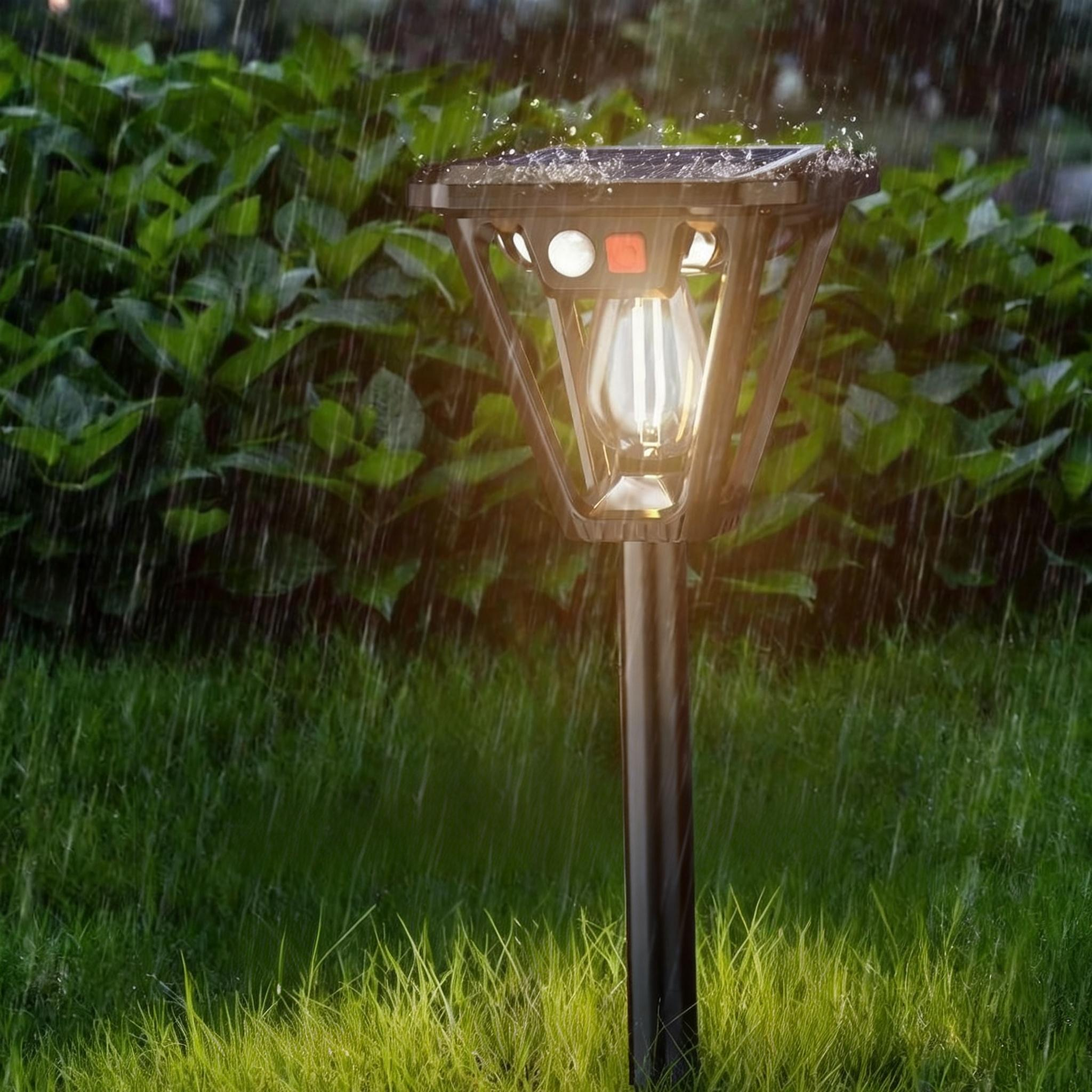 Solar - Powered Path Light: Illuminate Your Outdoor Pathways